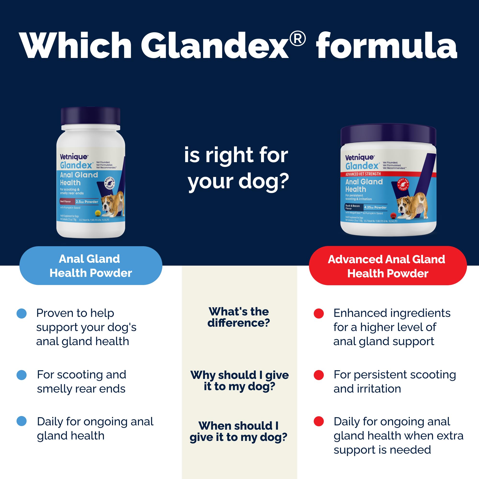 Vetnique Glandex USA-made seal on jar indicates domestic production quality.