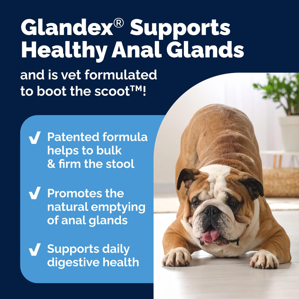 Vetnique Glandex probiotics-digestive-enzymes illustration communicates gut health support