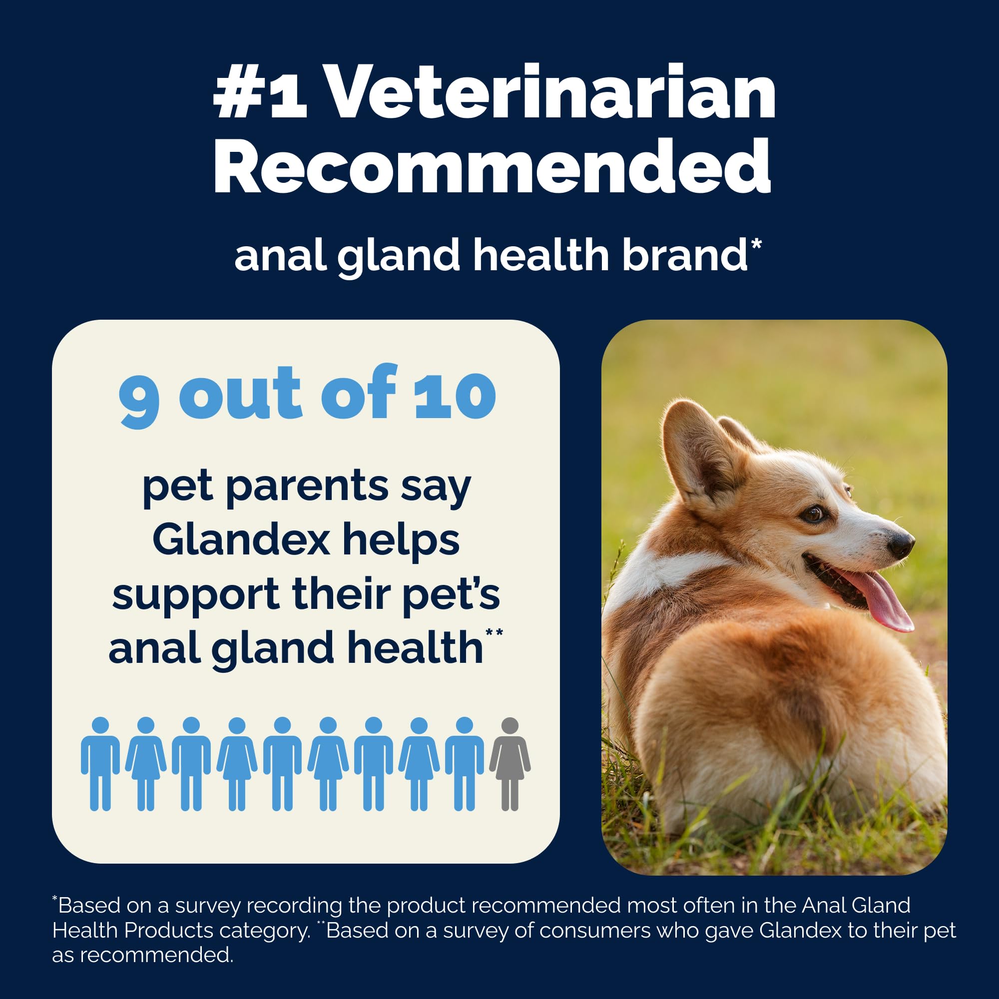 Vetnique Glandex pumpkin-dietary-fiber-dog-treats shows natural ingredients and flavor