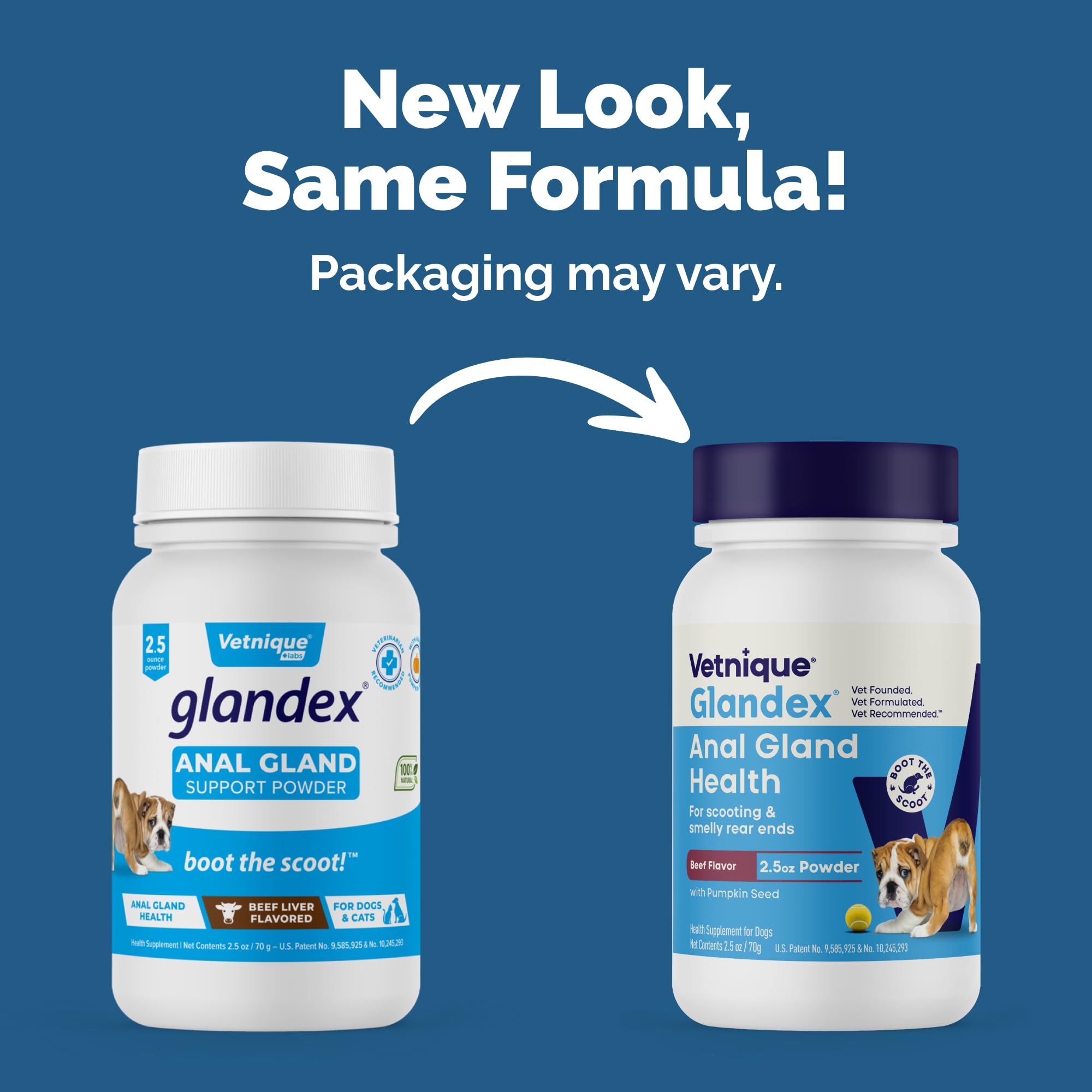 Vetnique Glandex-pumpkin-seed-ingredient highlights natural pumpkin seed for digestion support.