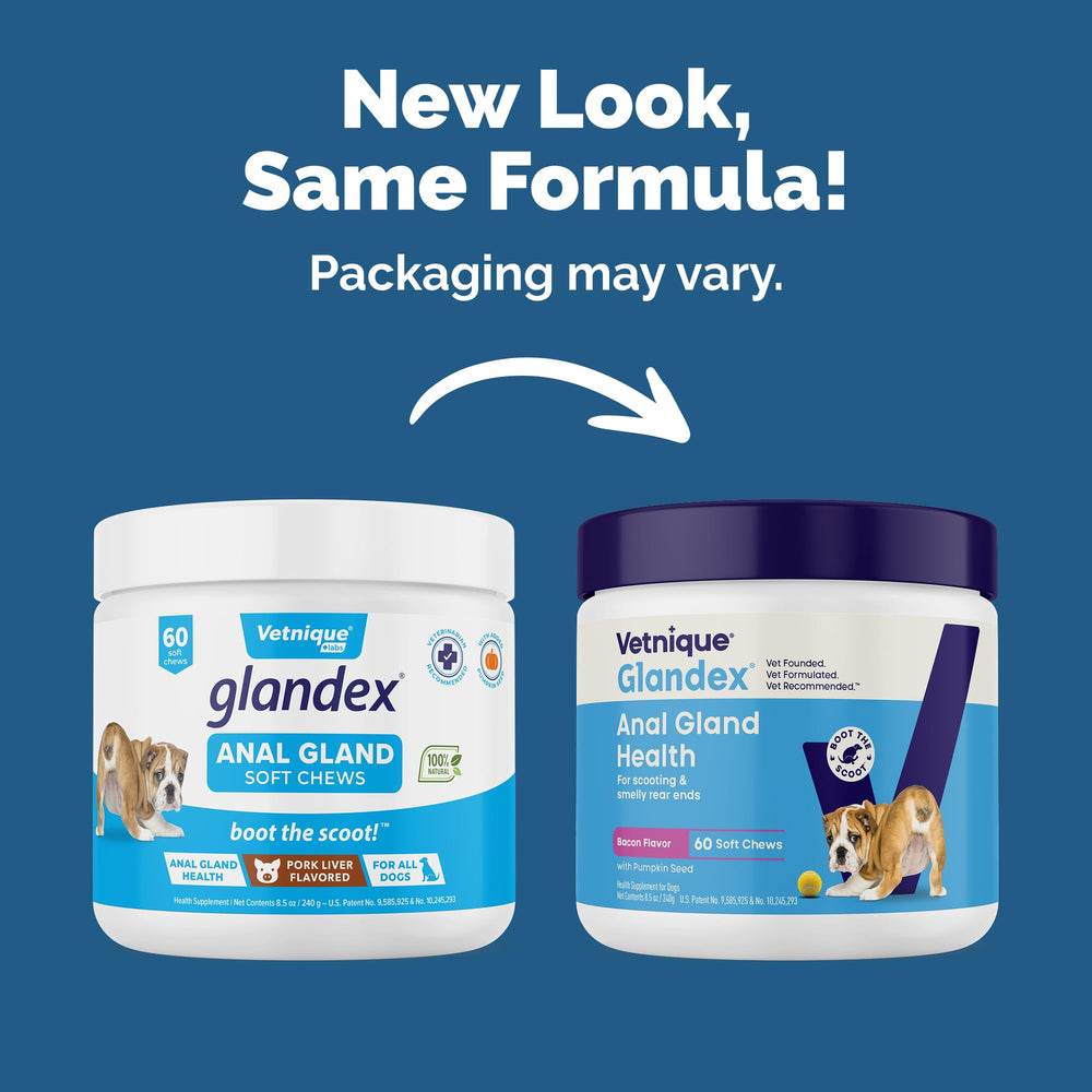 Vetnique Glandex pumpkin-seed ingredients close-up highlighting fiber for gut balance