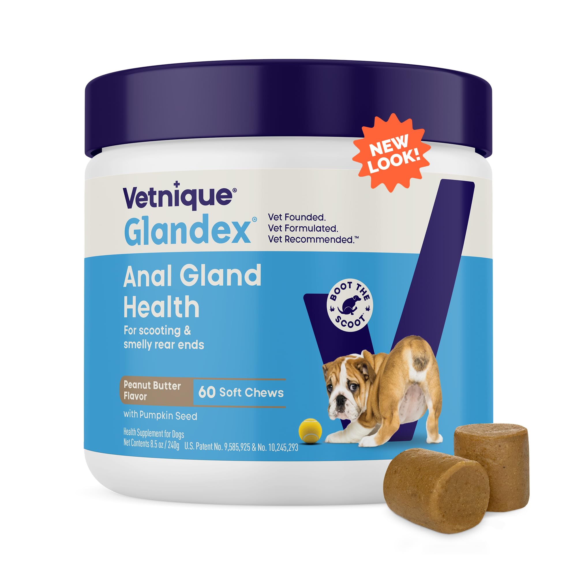 Vetnique Glandex soft chew pumpkin dog treat in bowl boosts digestive health