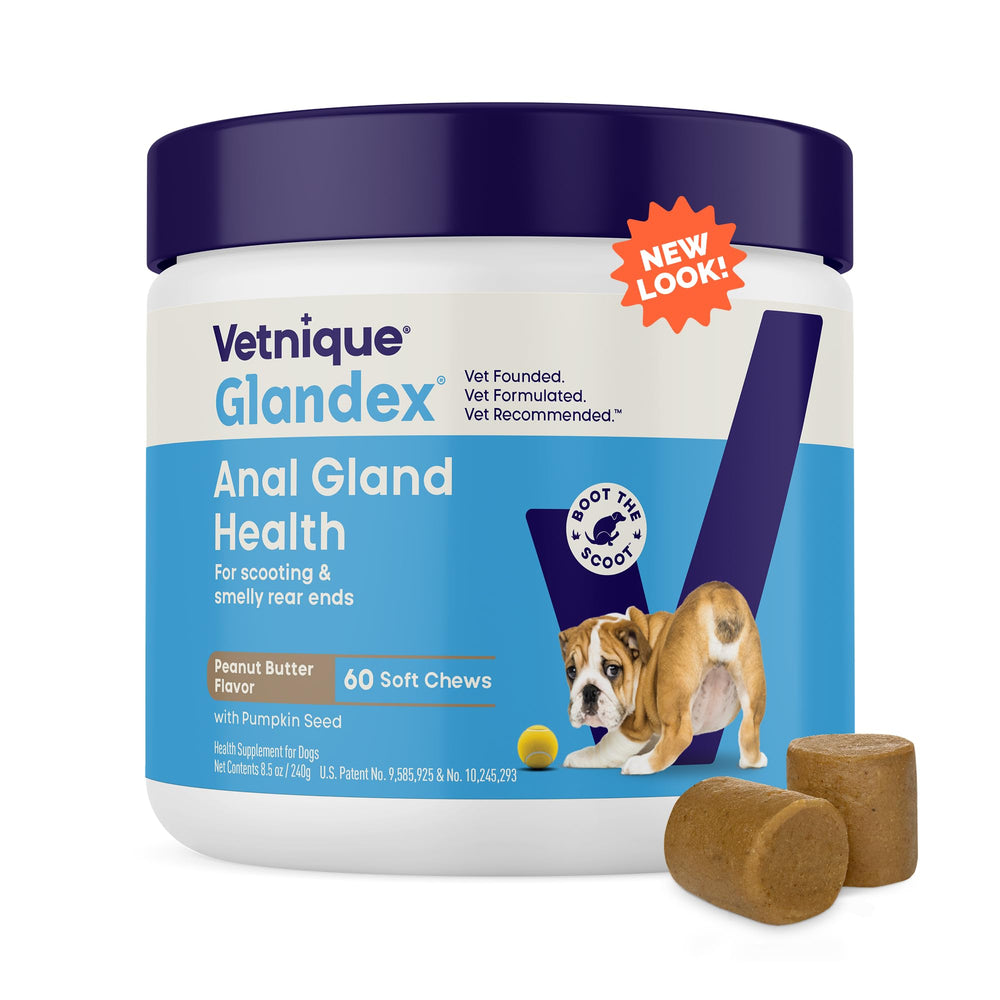 Vetnique Glandex soft chew pumpkin dog treat in bowl boosts digestive health