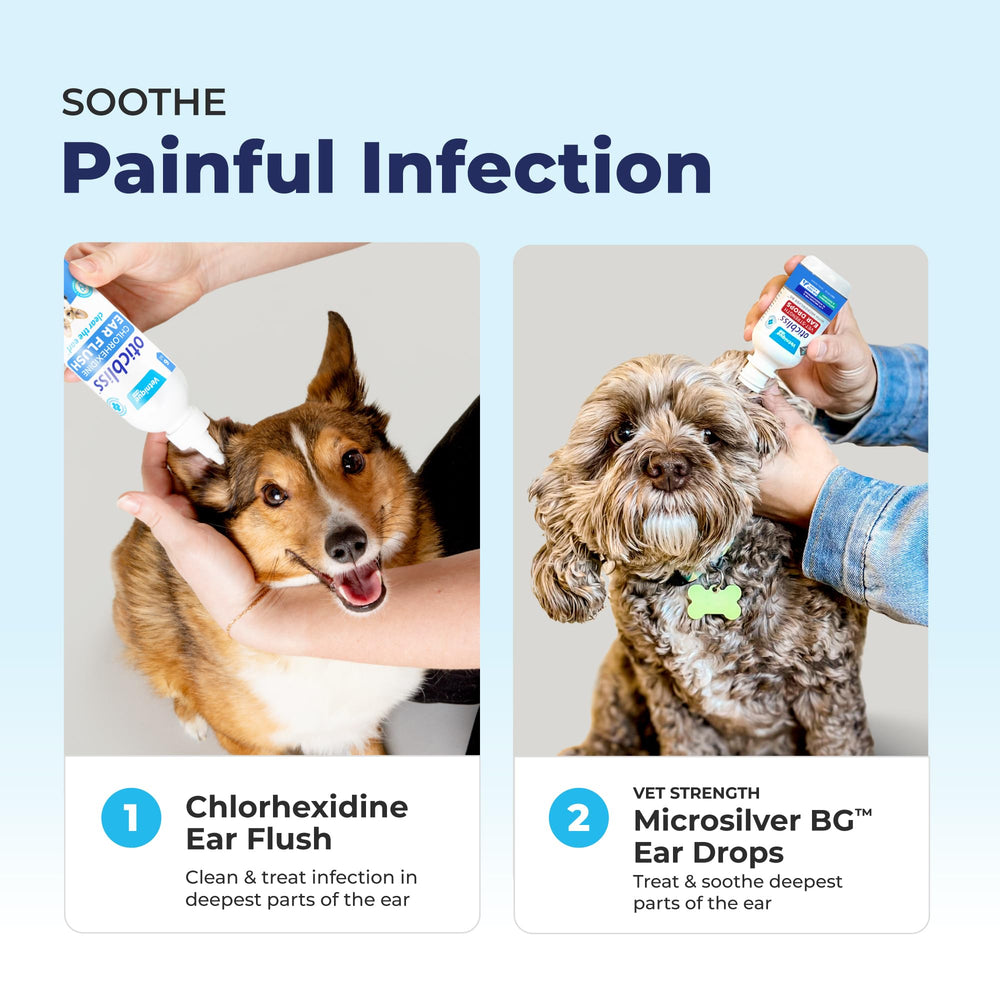 Vetnique Oticbliss chitosan soothing component appears as natural comfort.