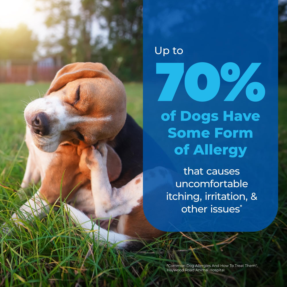 Vetnique Oticbliss dog ear care; supports healthier ears during routine hygiene.