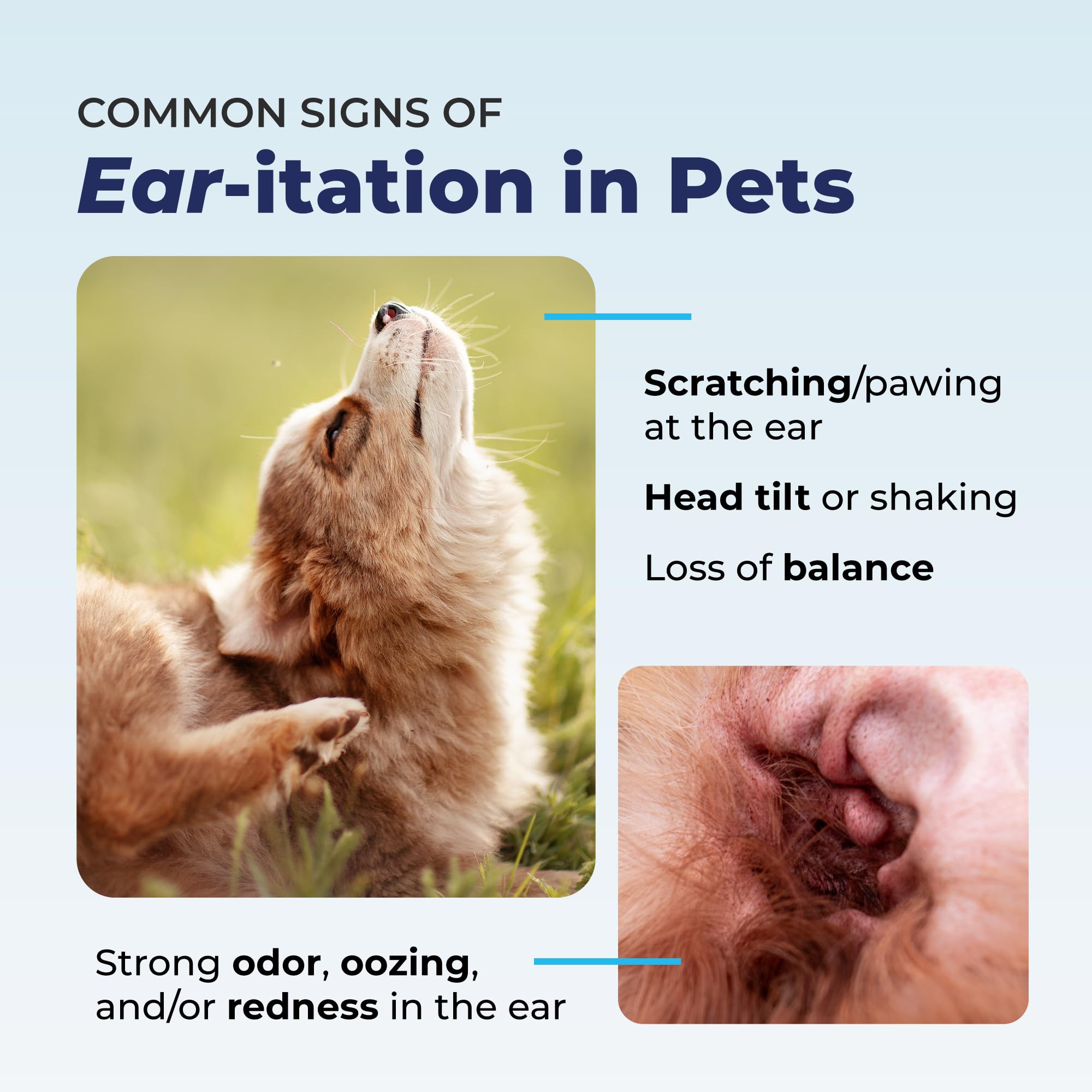 Vetnique Oticbliss odor-control effect on ears