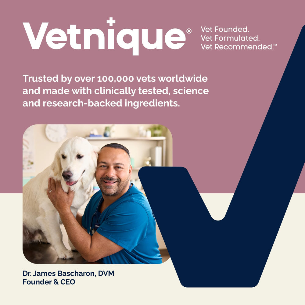 Vetnique Oticbliss packaging-varied reflects available packaging options for retailers.