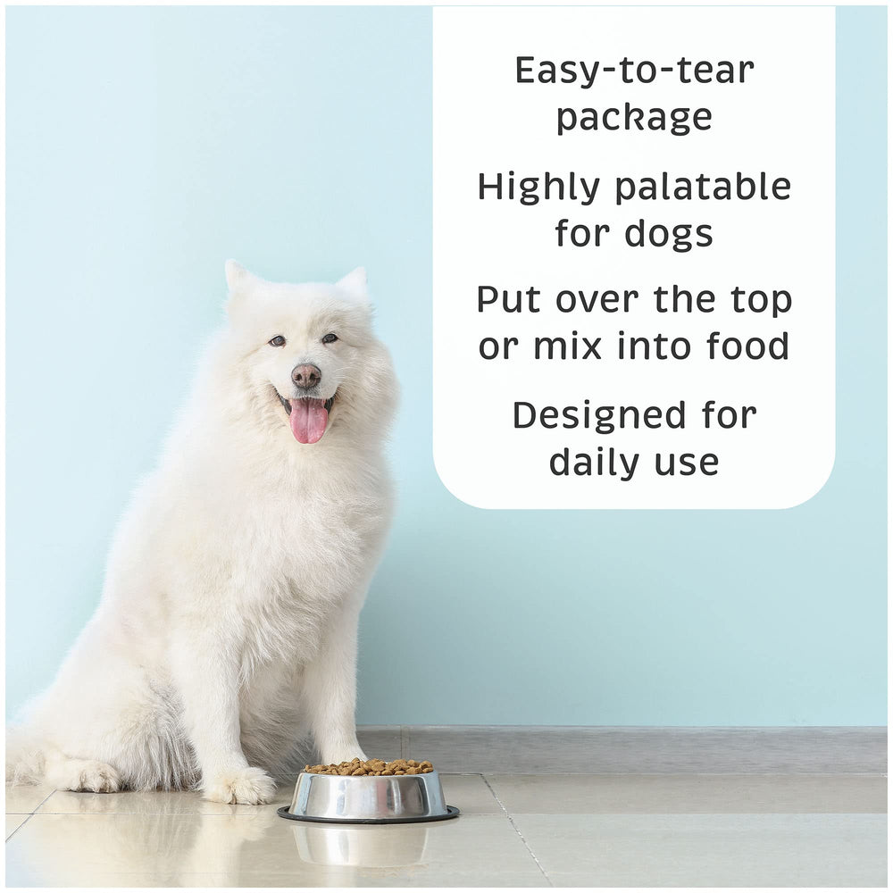VetOne Advita for dogs showing digestive balance during daily routine