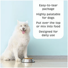 VetOne Advita for dogs showing digestive balance during daily routine