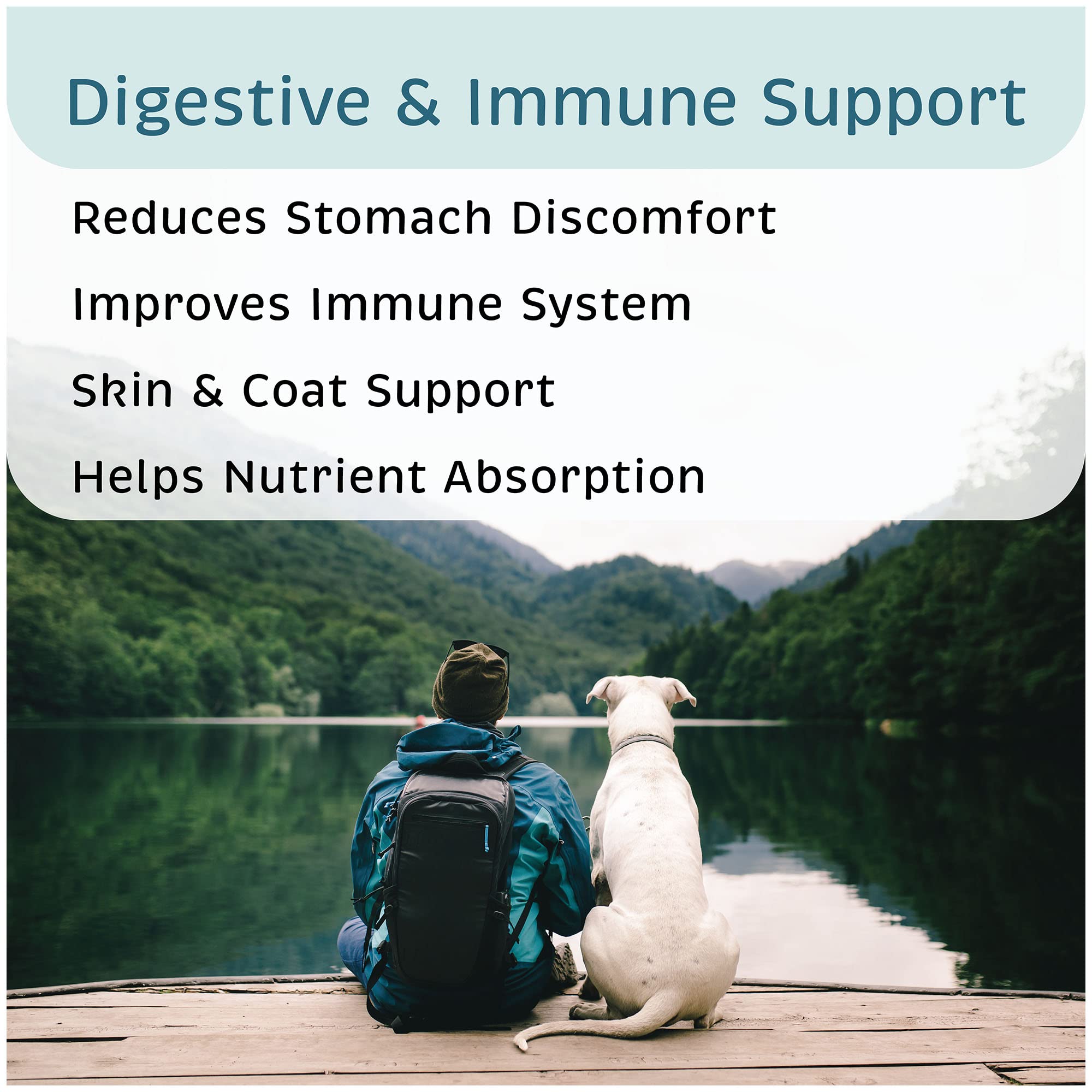 VetOne Advita immune-support probiotics for dogs during wellness