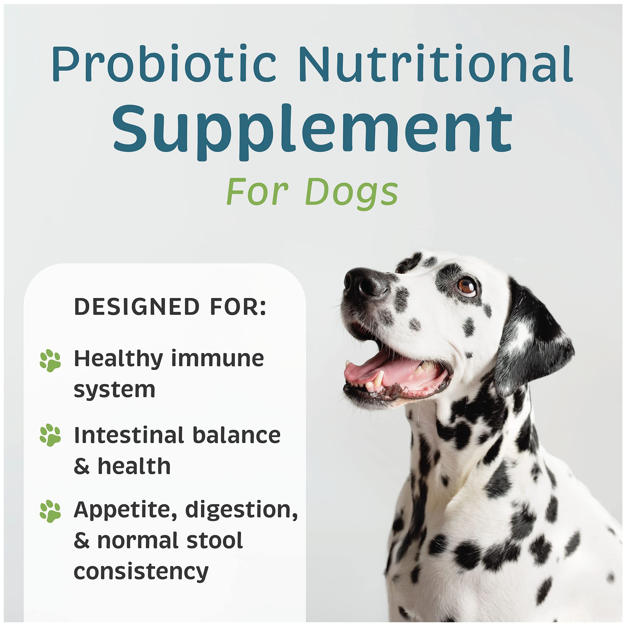 VetOne Advita packaging close-up highlighting dog supplement