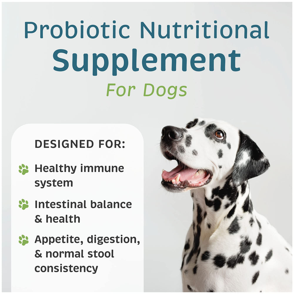 VetOne Advita packaging close-up highlighting dog supplement