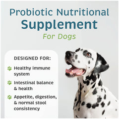 VetOne Advita packaging close-up highlighting dog supplement