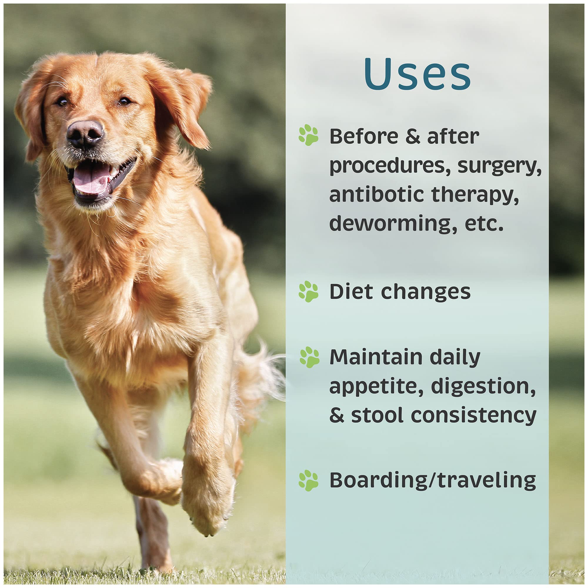 VetOne Advita prebiotic inulin supports gut-friendly nutrition for dogs
