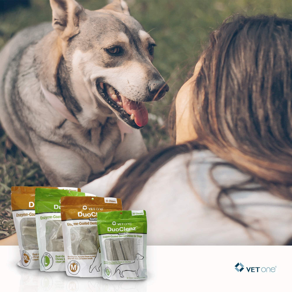 Vet One DuoClenz poultry-flavor coating shows tasty chews for daily dental care.
