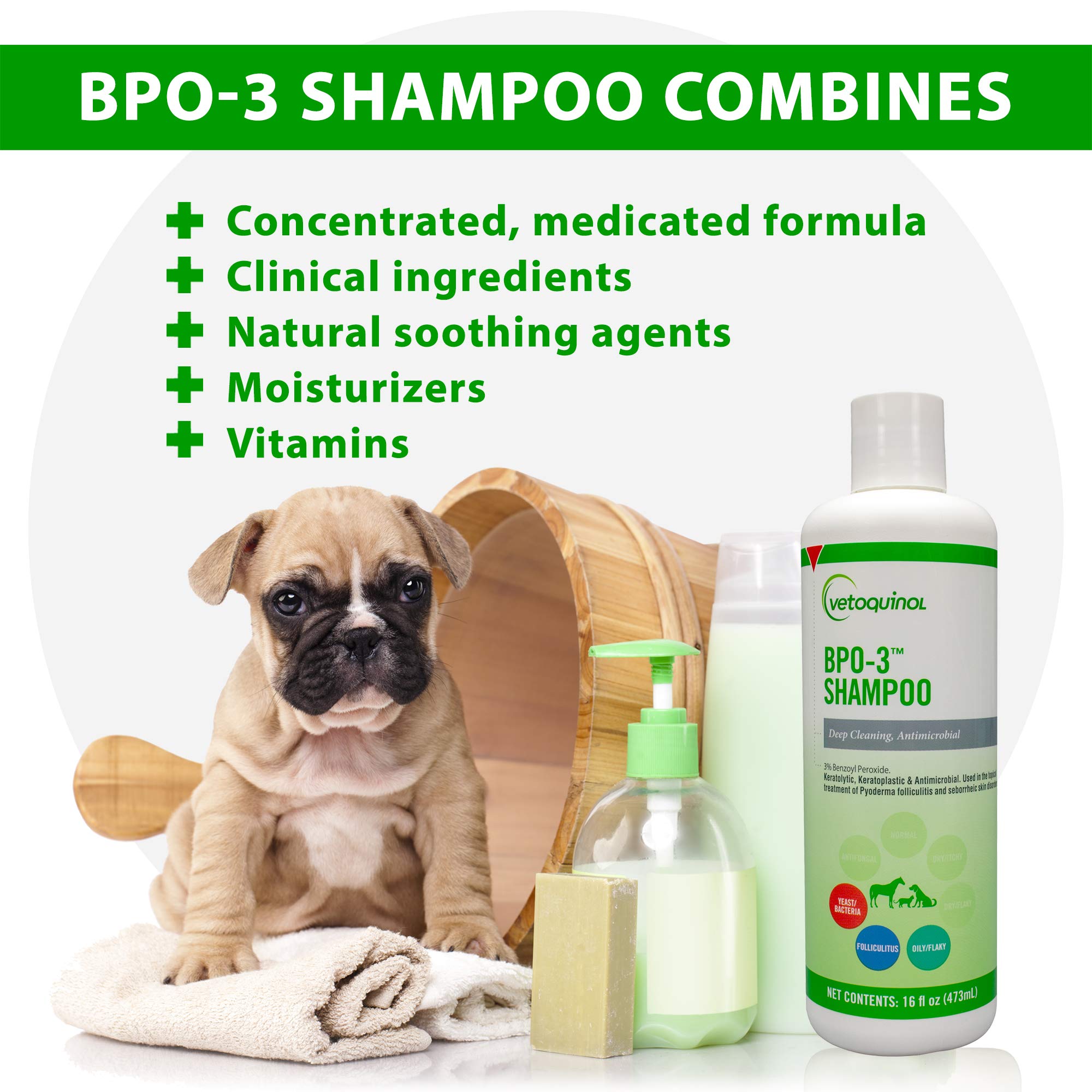 Vetoquinol BPO-3 Shampoo cat lather for soothing skin and cleanliness.