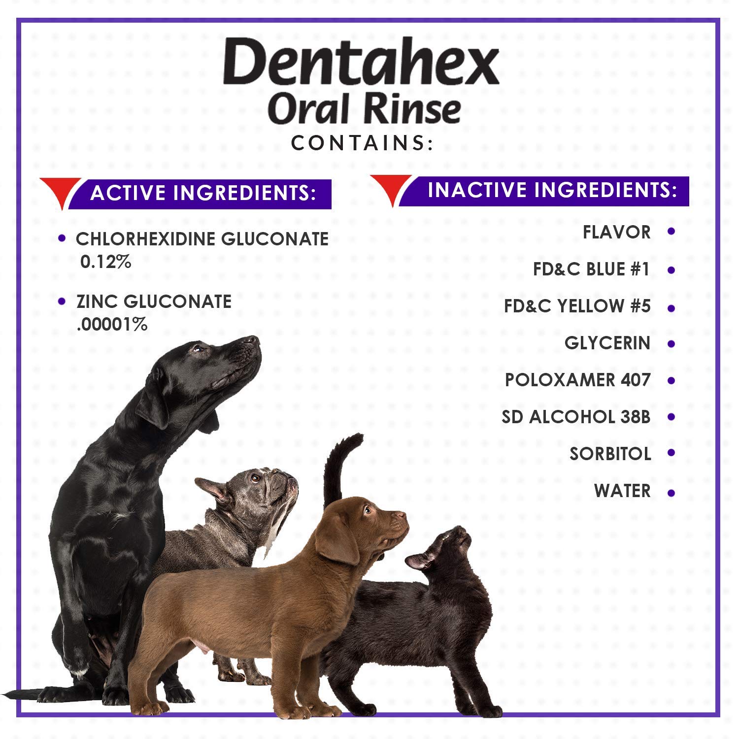 Vetoquinol Dentahex plaque and tartar control close-up supports at-source care.
