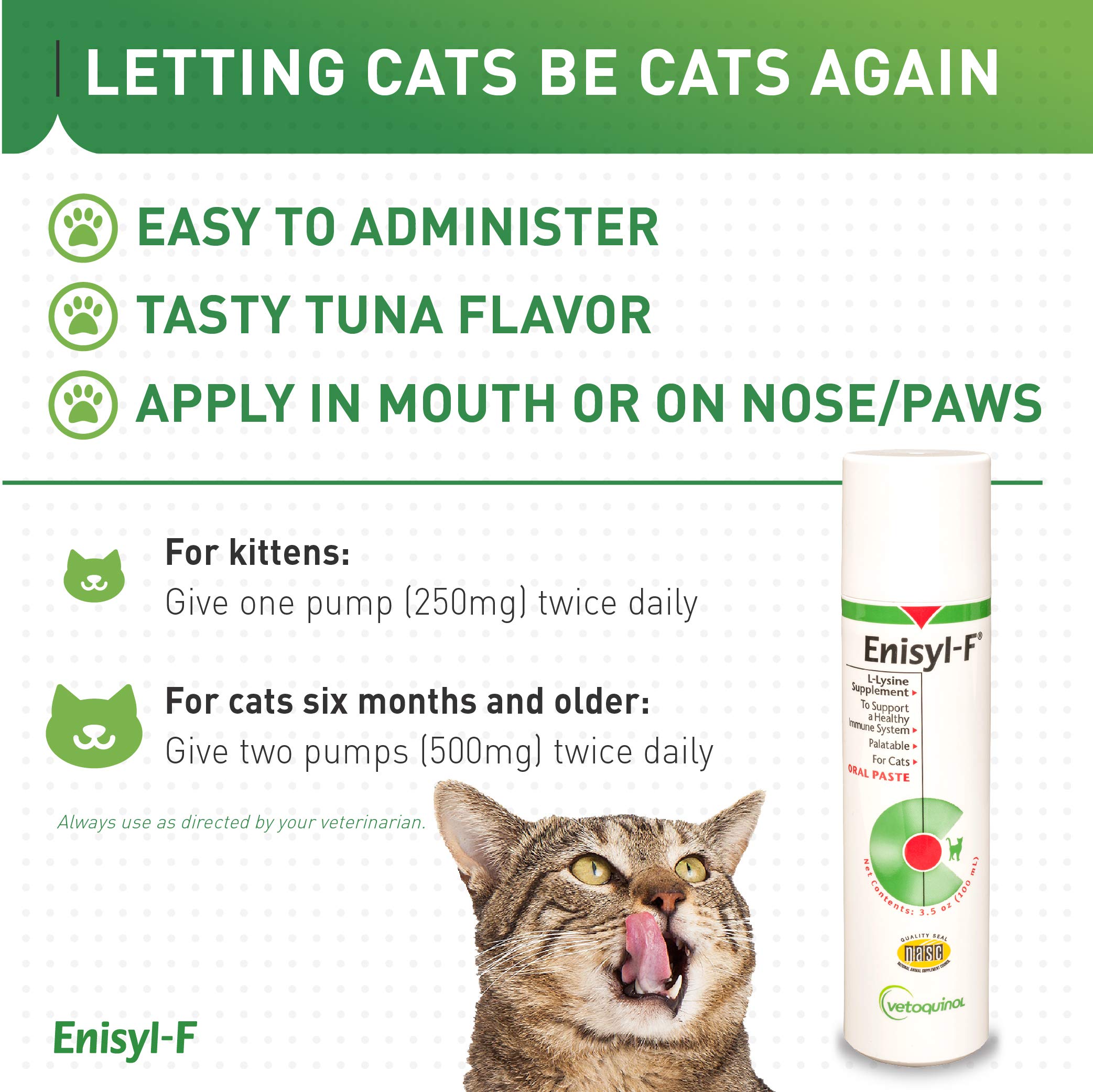 Vetoquinol Enisyl-F paste kitten-use demonstrating gentle dosing for kittens
