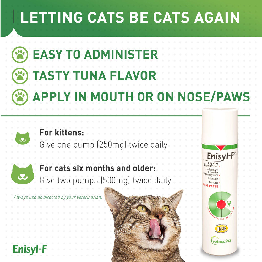 Vetoquinol Enisyl-F paste kitten-use demonstrating gentle dosing for kittens
