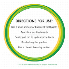 Vetoquinol Enzadent toothpaste application close-up demonstrates non-foaming formula