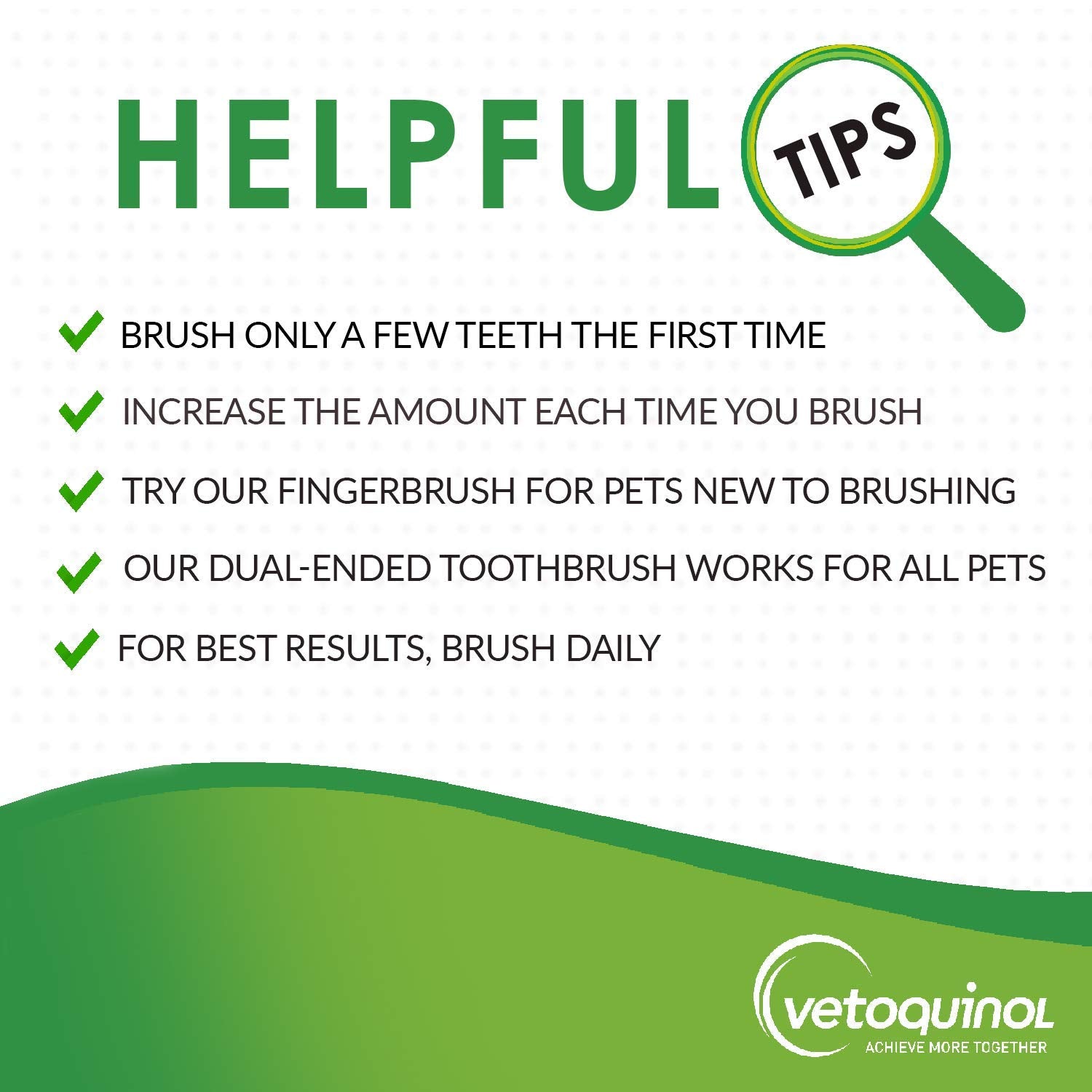 Vetoquinol Enzadent pets brushing session illustrates plaque removal and polish