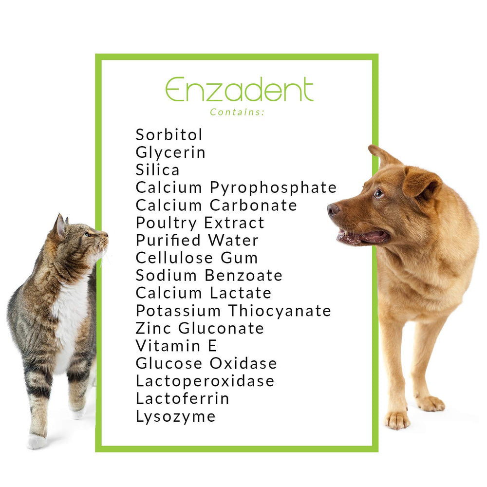 Vetoquinol Enzadent cat brushing scene featuring poultry-flavored toothpaste.