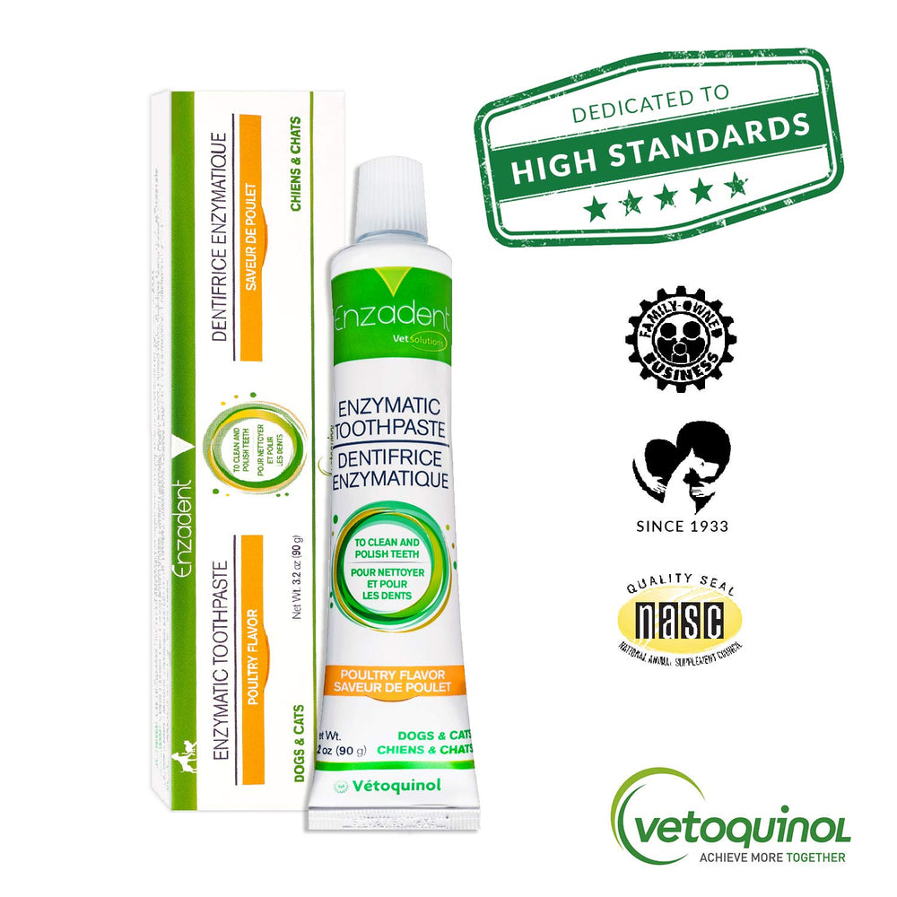 Pet teeth polishing with Enzadent toothpaste for a polished appearance.