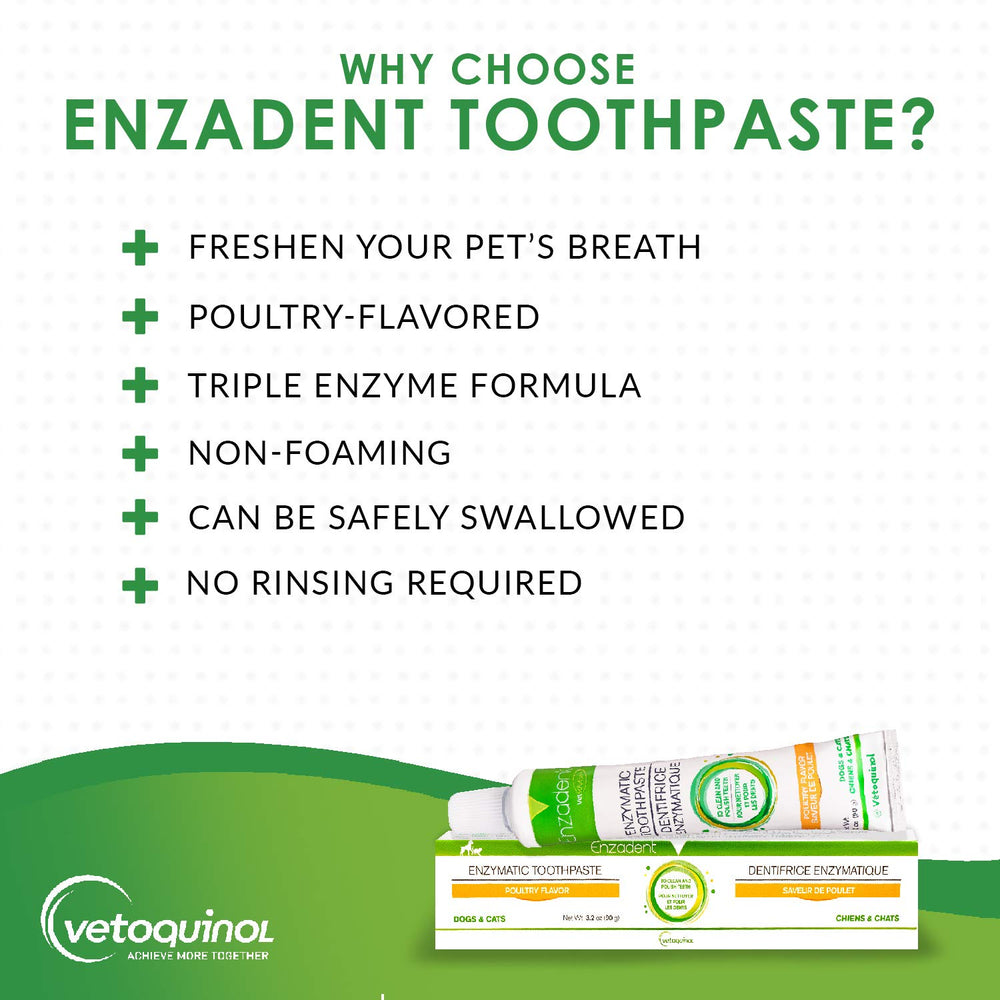 Close-up of Enzadent tube dispensing onto brush for daily use.