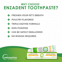 Close-up of Enzadent tube dispensing onto brush for daily use.