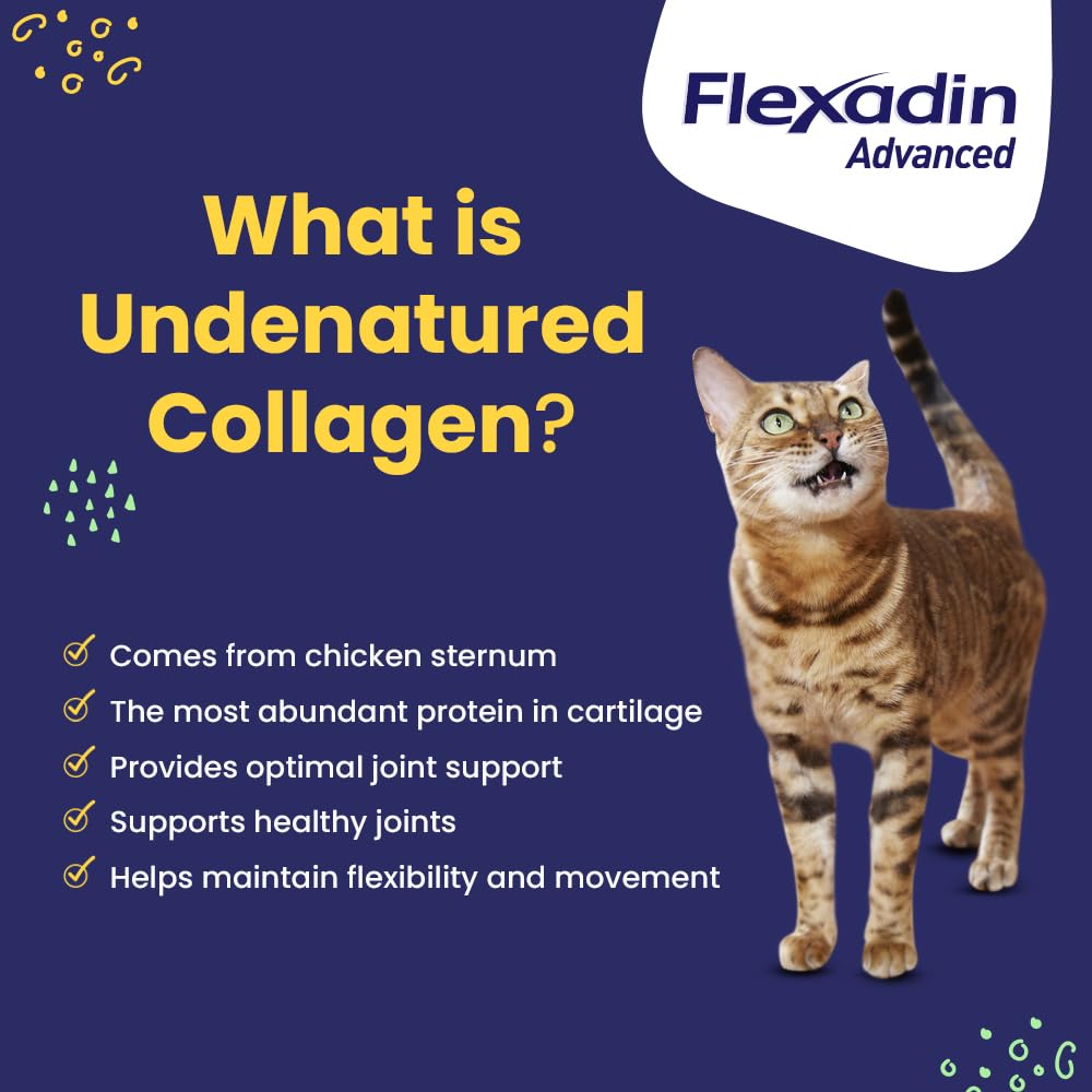 Vetoquinol Flexadin Advanced cat-friendly chews on display for joint support