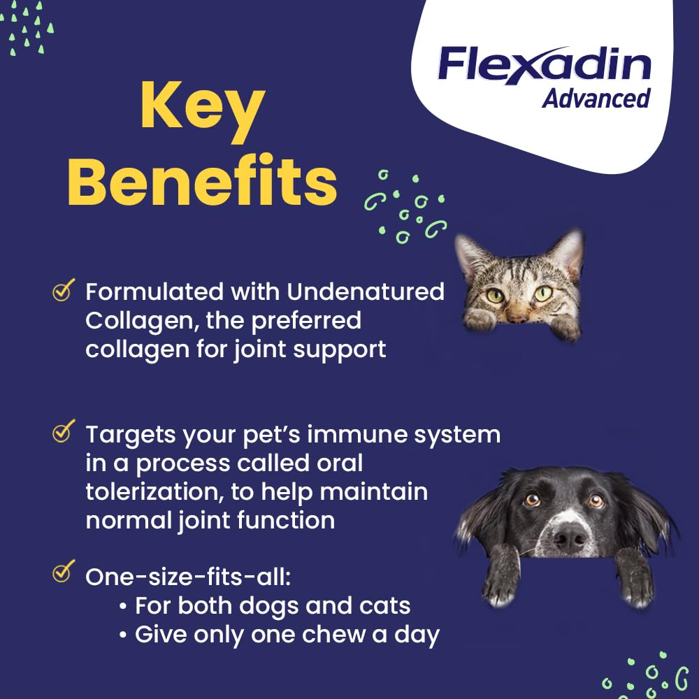 Vetoquinol Flexadin Advanced chew closeup highlighting undenatured collagen benefits