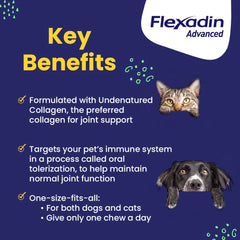 Vetoquinol Flexadin Advanced chew closeup highlighting undenatured collagen benefits
