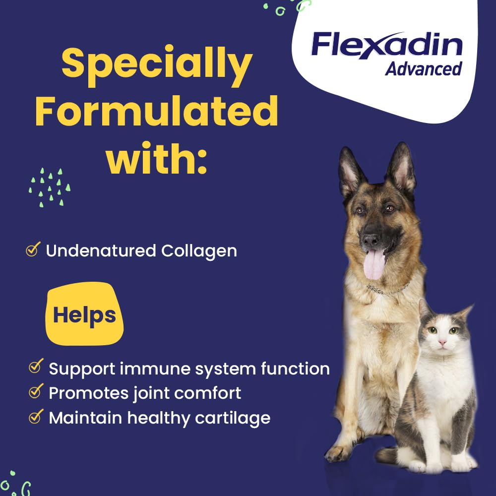 Vetoquinol Flexadin Advanced dog comfortably resting after a chew