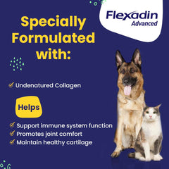 Vetoquinol Flexadin Advanced dog comfortably resting after a chew
