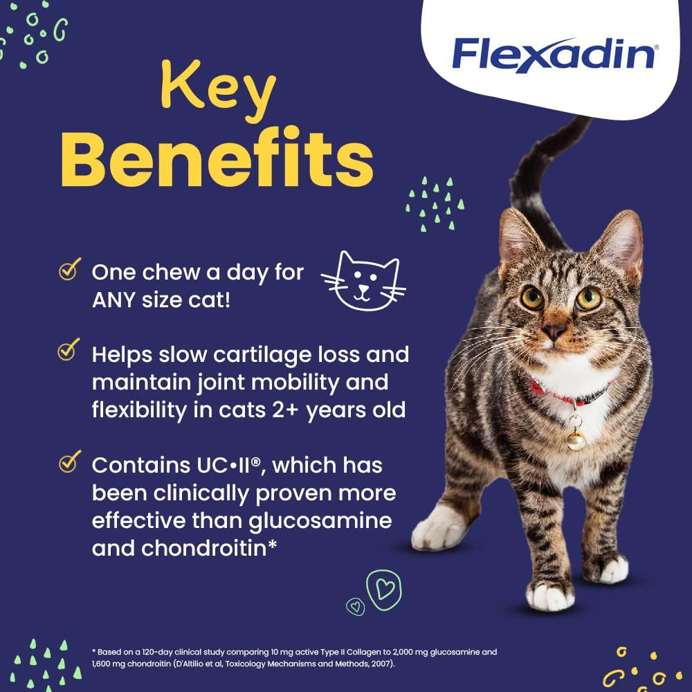 Vetoquinol Flexadin cat relaxes showing potential joint comfort from daily chews