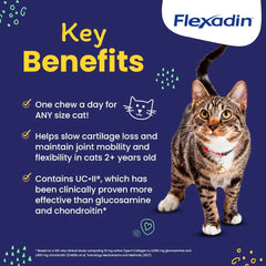 Vetoquinol Flexadin cat relaxes showing potential joint comfort from daily chews