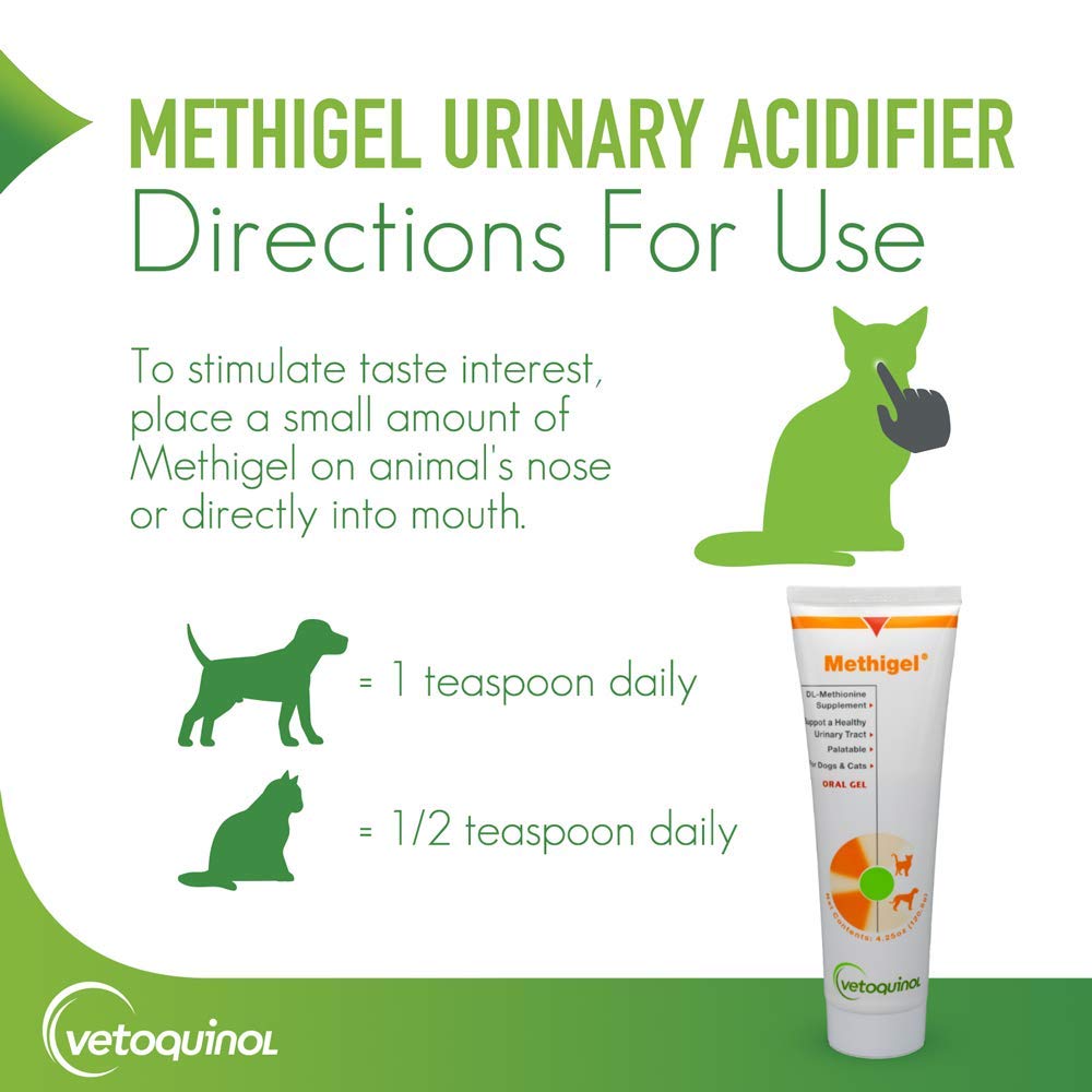 Vetoquinol Methigel in a home scene with dogs and cats for urinary health support.