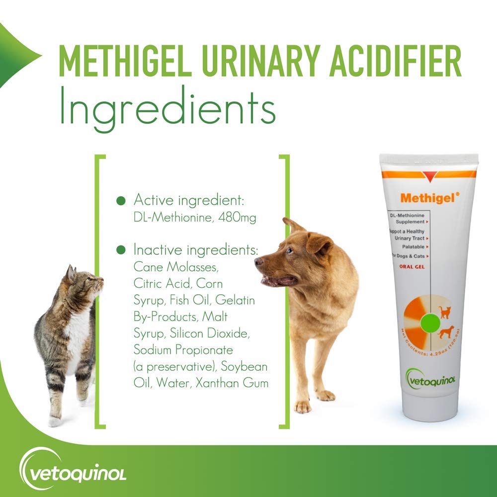 Vetoquinol Methigel on counter scene illustrating pH balance and bladder health.