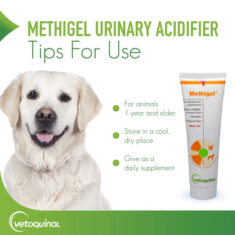 Vetoquinol Methigel shown in a veterinarian-recommendation context.