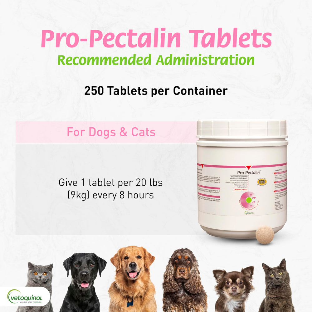 Vetoquinol Pro-Pectalin chicken flavor chew for easier pet administration.