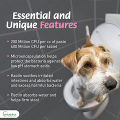 Vetoquinol Pro-Pectalin for dogs and cats supports gentle digestion during upset stomachs.