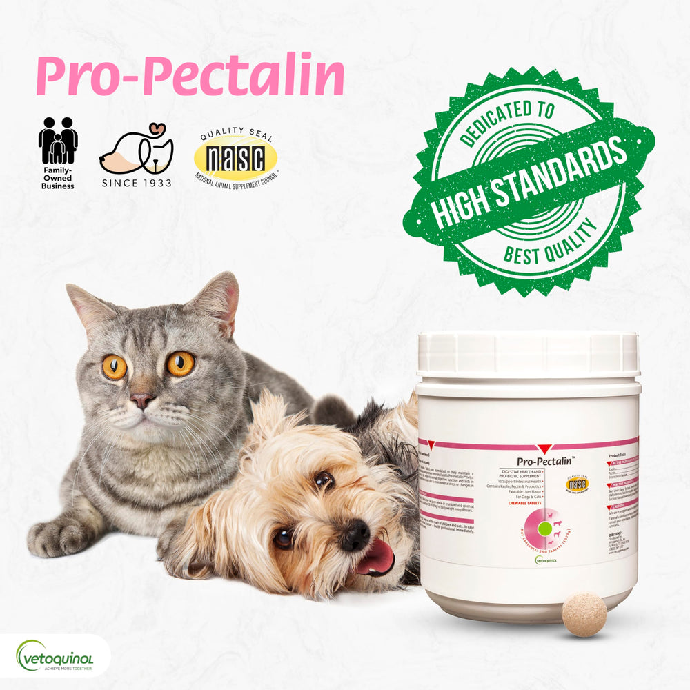 Vetoquinol Pro-Pectalin dosing moment showing direct mouth or food administration.