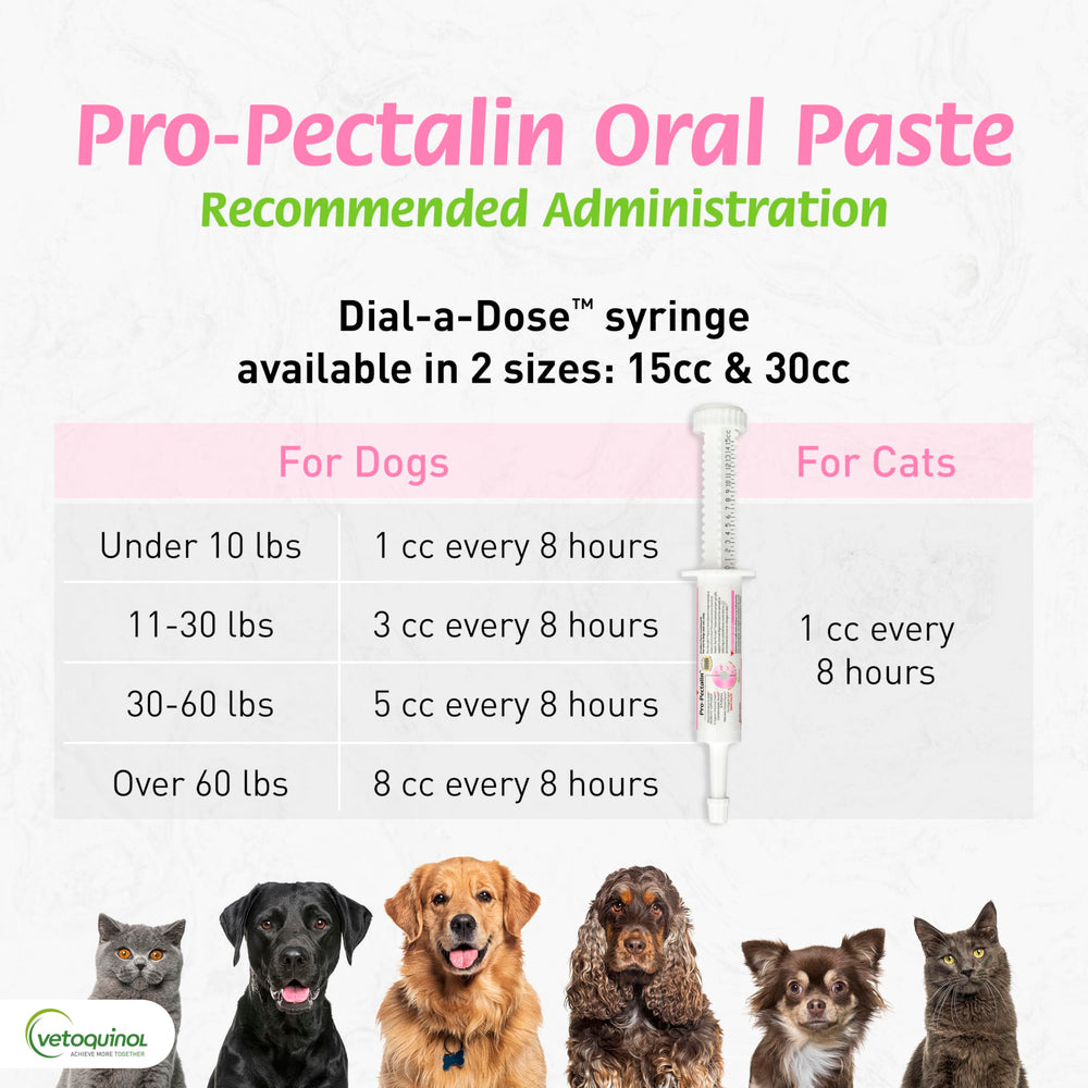 Vetoquinol Pro-Pectalin paste with Enterococcus faecium supports gut flora.