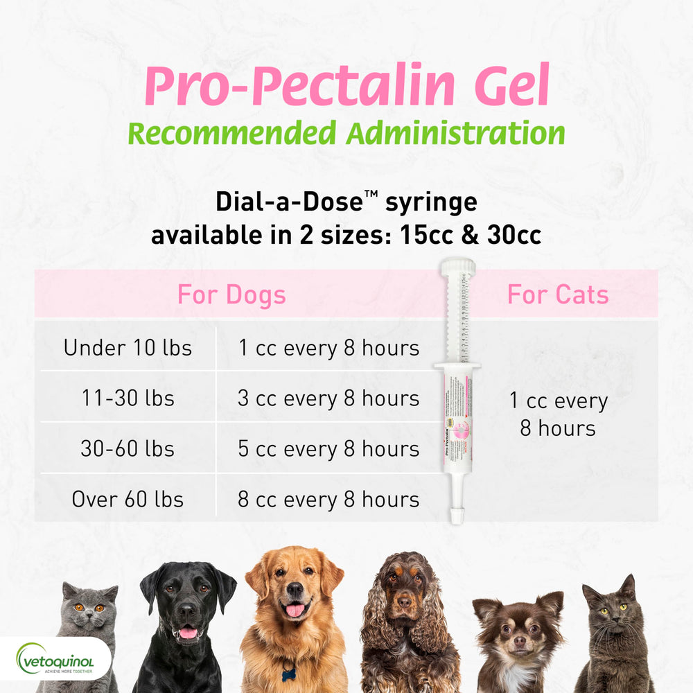 Vetoquinol Pro-Pectalin includes probiotics to help balance gut bacteria.