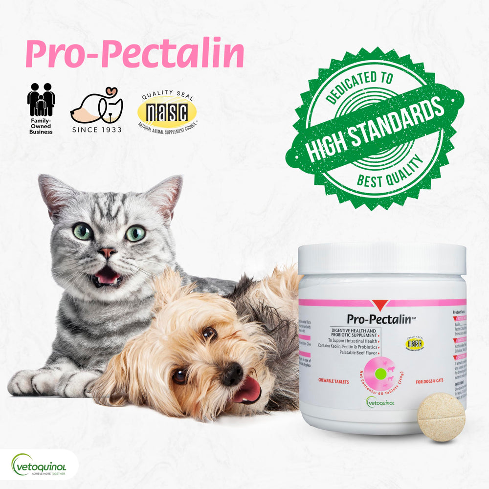 Vetoquinol Pro-Pectalin digestive support image signals probiotic gut balance.