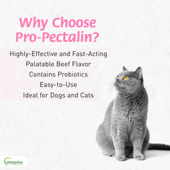 Vetoquinol Pro-Pectalin tablet beside a dog dish for easy administration with meals.