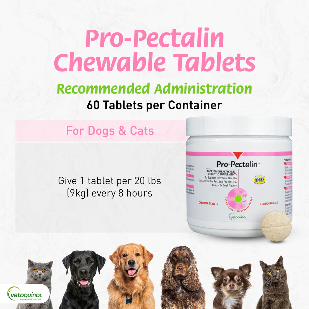 Vetoquinol Pro-Pectalin label closeup emphasizes kaolin and pectin benefits.