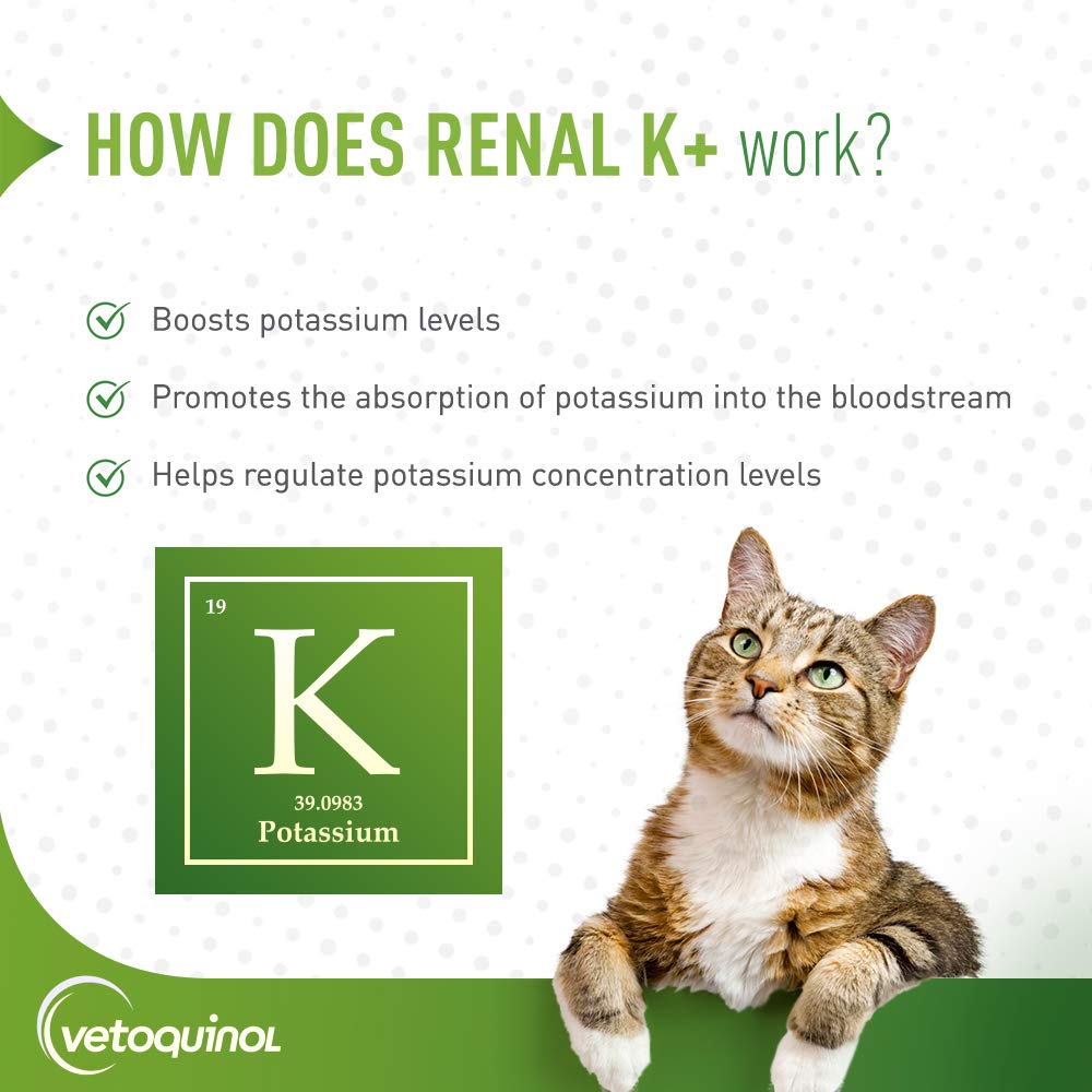 Vetoquinol Renal K+ powder dog usage shows adding to meals for convenient potassium support.