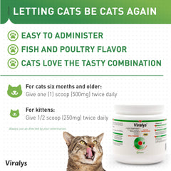 Vetoquinol Viralys cat dosing on food illustration shows simple lysine supplementation.