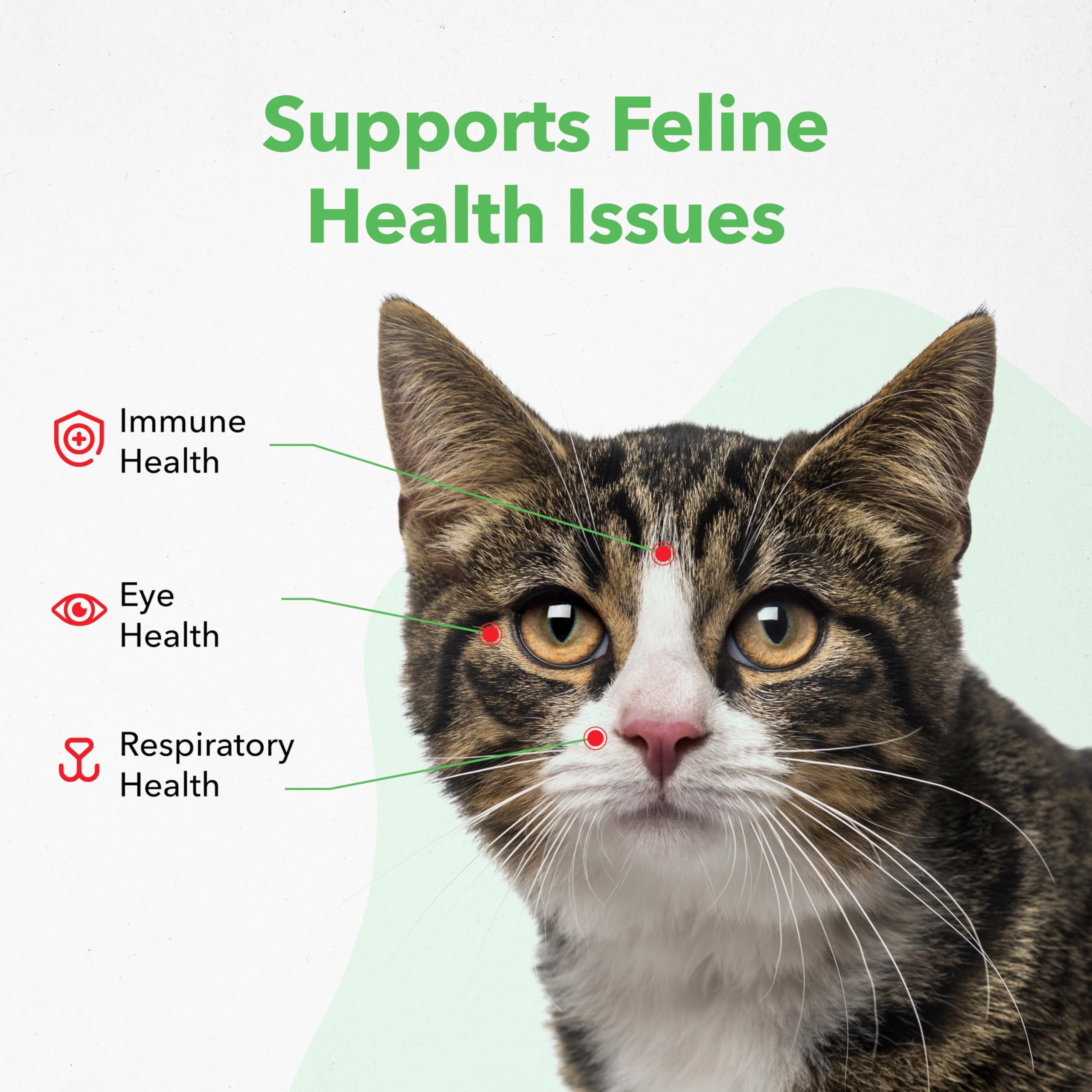Vetoquinol Viralys lysine gel helps cats eye health and comfort.